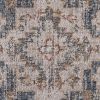 Vintage Medallion Woven Area Rug