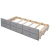 Twin-Over-Full Bunk Bed with Twin size Trundle , Separable Bunk Bed with Drawers for Bedroom - Gray